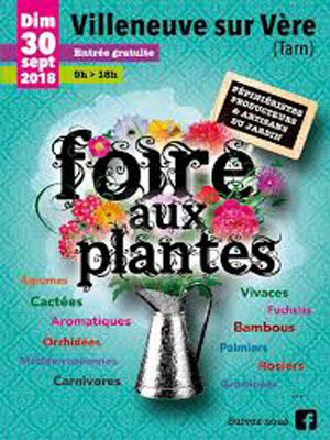 Foire aux Plantes de Villeneuve sur Vère