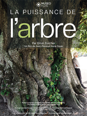 FILM - La Puissance de l'Arbre