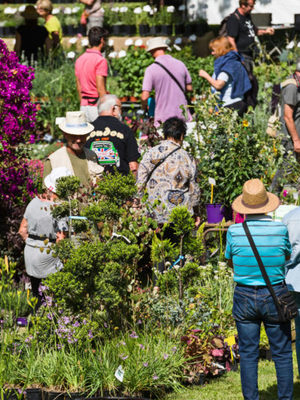 Journées des Plantes d'Albertas