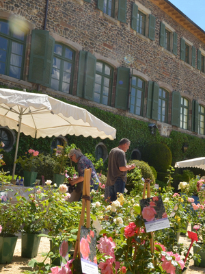 25è édition de la Fête des Plantes - château de Chavaniac-Lafayette