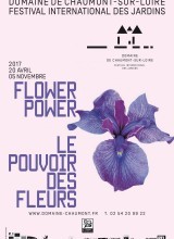 Flower Power- Le Pouvoir des Fleurs