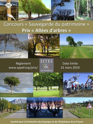 Concours pour la préservation des allées d'arbres