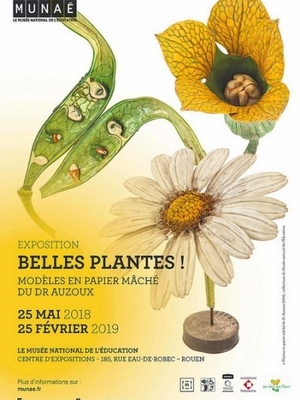 Belles Plantes