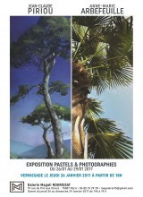 Arbres - Pastels et Photographies