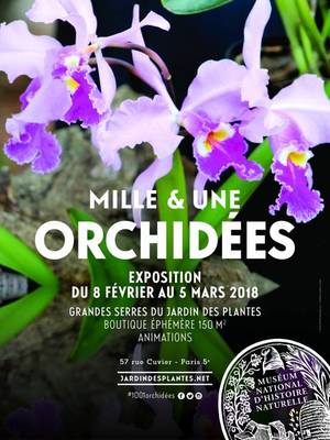 Mille et une orchidées