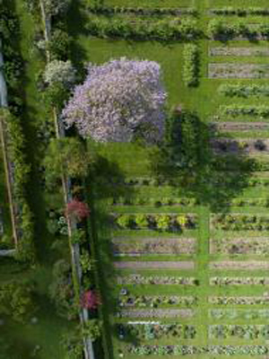 Le Jardin du Parfumeur