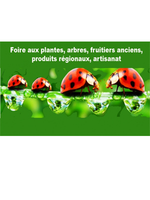 Foire aux plantes, arbres, fruitiers anciens 2019 de Puydaniel