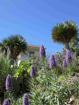 Printania au Rayol 2026