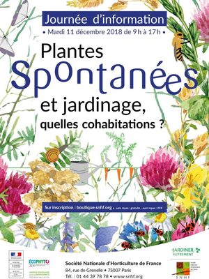 PLANTES SPONTANÉES ET JARDINAGE : QUELLES COHABITATIONS ?