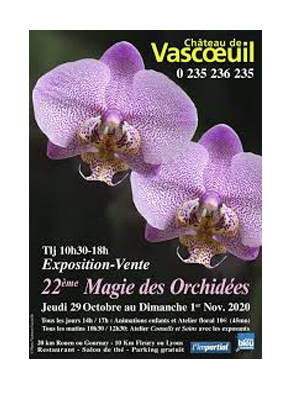 22°Magie des Orchidées au Château de Vascoeuil