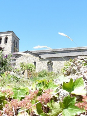 FESTIVAL DES PLANTES EN MONTAGNE NOIRE