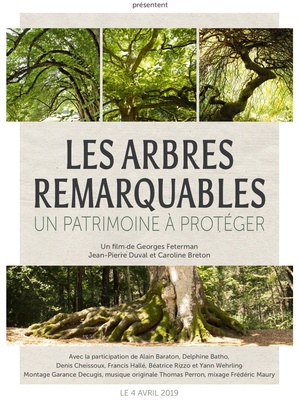 FILM « LES ARBRES REMARQUABLES DE FRANCE, UN PATRIMOINE A PROTEGER »