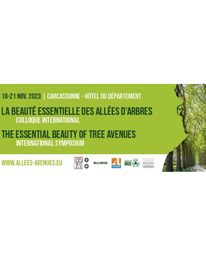 La Beauté Essentielle des Allées d'Arbres