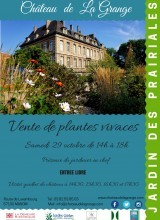 Vente de Plantes Vivaces