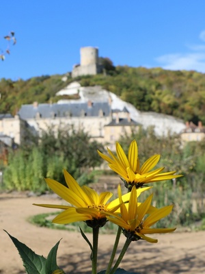 Plantes Plaisirs Passions devient EDEN