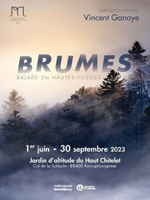 Brumes