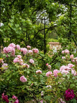 Cinq siècles de parcs et jardins en Vendée