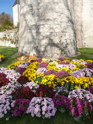 Fête des Fleurs d'Automne