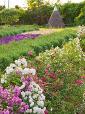 Fête des Roses 2019 au Château du Rivau