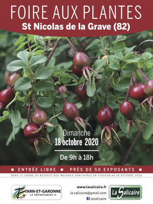 53ème Foire aux plantes rares et de collection