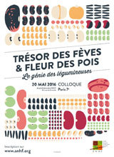 Trésor des fèves et fleur des pois, le génie des légumineuses