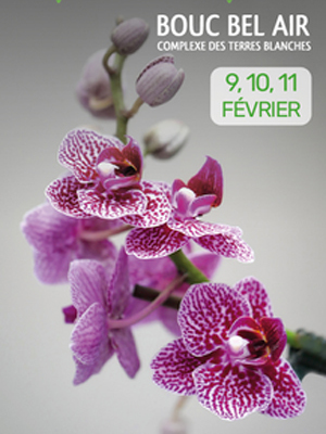 Orchidays - 16ème Salon International de l'Orchidée