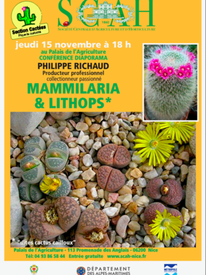 Mammillaria et Lithops