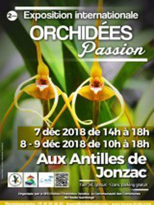 Orchidées passion