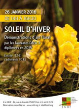 Soleil d'Hiver