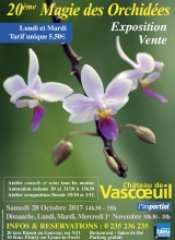 20° MAGIE DES ORCHIDEES