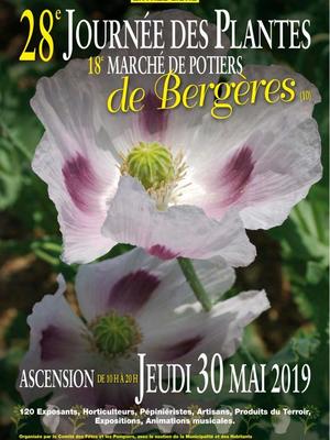 Journée des plantes à Bergères