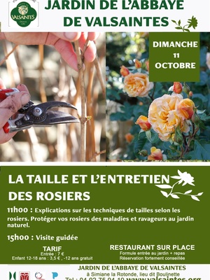 L'entretien et la taille des rosiers