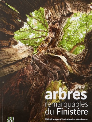 Arbres Remarquables du Finistère