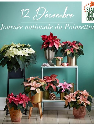 Journée Nationale du Poinsettia