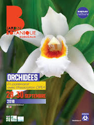 Orchidées au rythme des "Grandes routes maritimes"