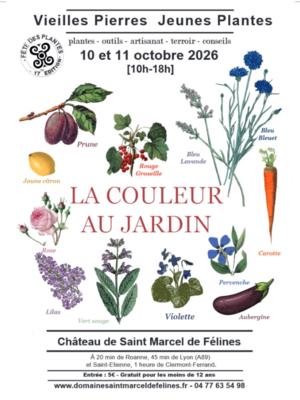 « Vieilles pierres - jeunes plantes »