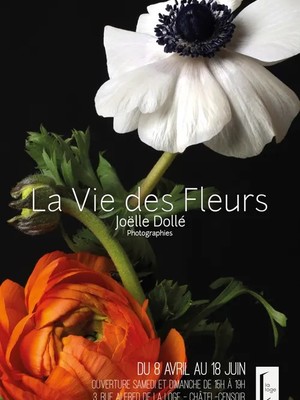 La vie des Fleurs