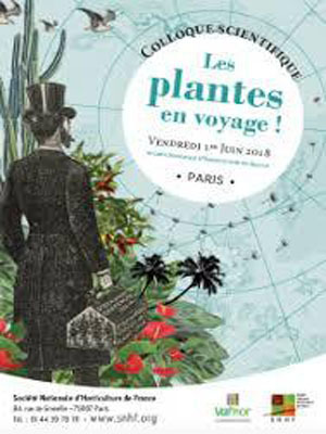 Les plantes en voyage