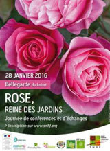 Rose, reine des jardins - Bellegarde (45)