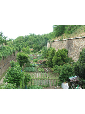 Les jardins ouvriers, du paternalisme au développement durable