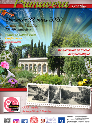 Primavera 2020 à Montpellier