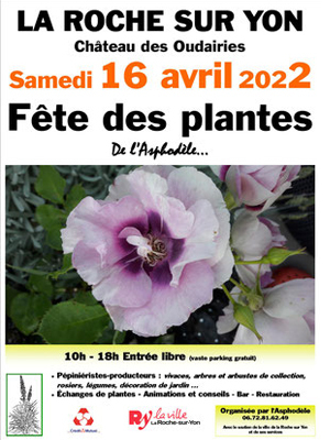 Fête des plantes de l'Asphodèle