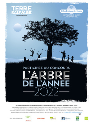 Arbre de l'année 2022