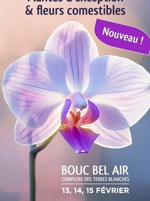 18ᵉ Salon International de l'Orchidée