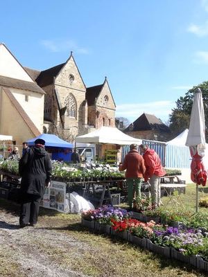 Salon des Plantes