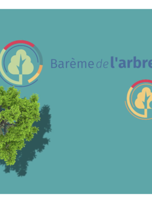 35e ArboRencontre - Le nouveau barème de l'arbre