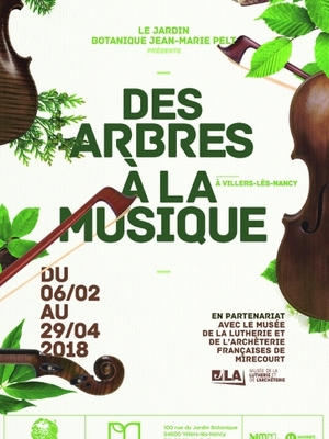 Des Arbres à la Musique