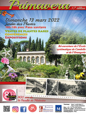 Primavera au Jardin des Plantes de Montpellier