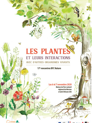 Les plantes et leurs interactions