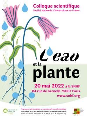 L'eau et la plante